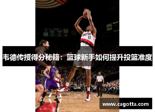 韦德传授得分秘籍：篮球新手如何提升投篮准度
